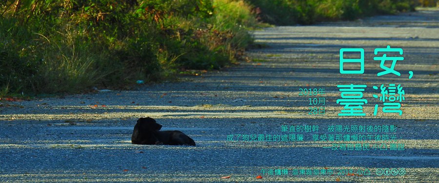 365 日安，臺灣之2018年10月28日